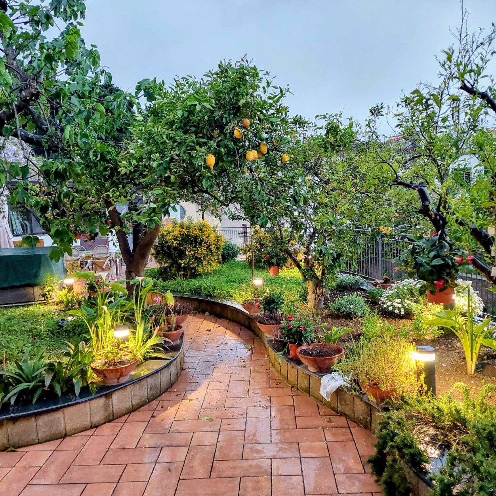 Apartamento Il Giardino Dei Gigli Meta Habitación foto