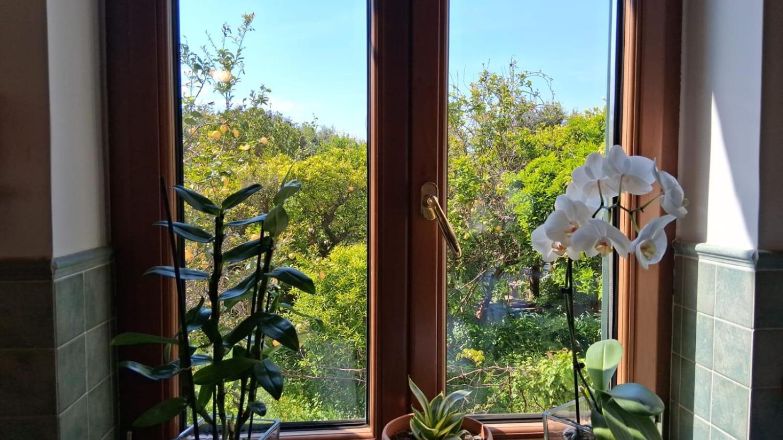 Apartamento Il Giardino Dei Gigli Meta Exterior foto