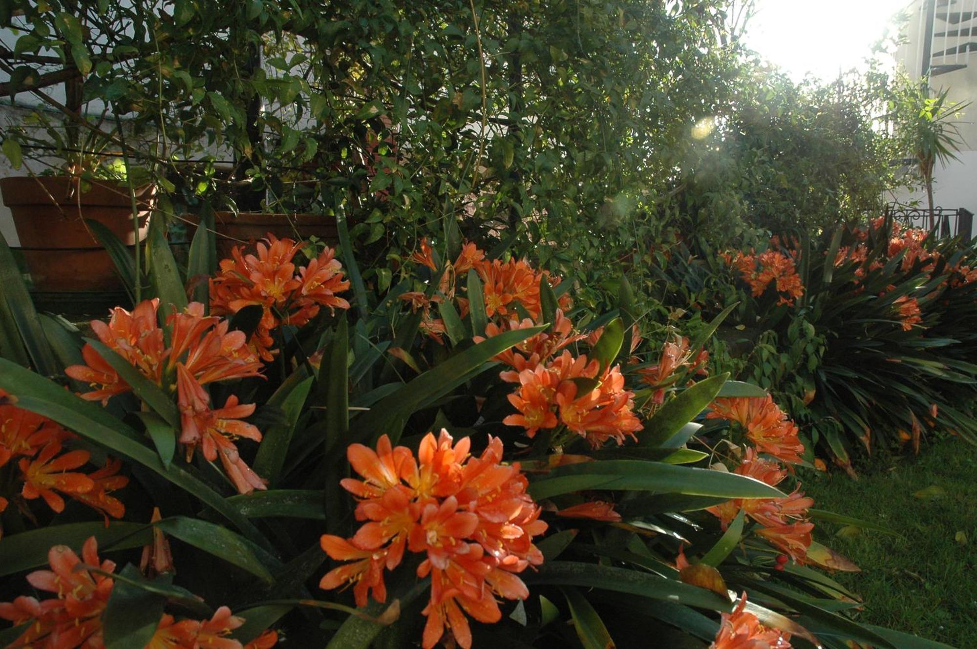 Apartamento Il Giardino Dei Gigli Meta Exterior foto