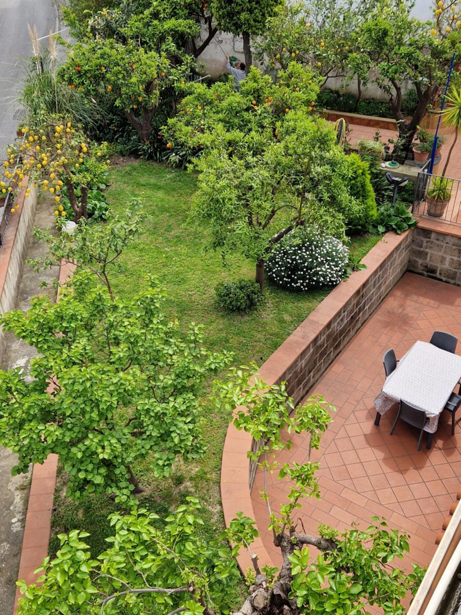 Apartamento Il Giardino Dei Gigli Meta Exterior foto