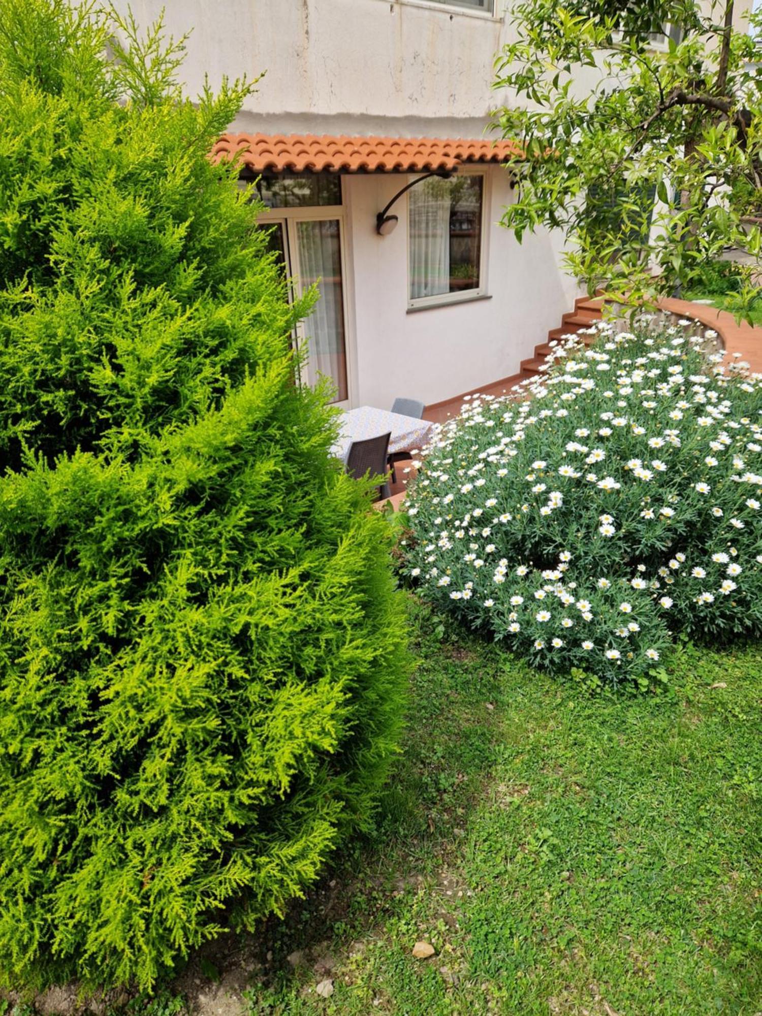 Apartamento Il Giardino Dei Gigli Meta Exterior foto