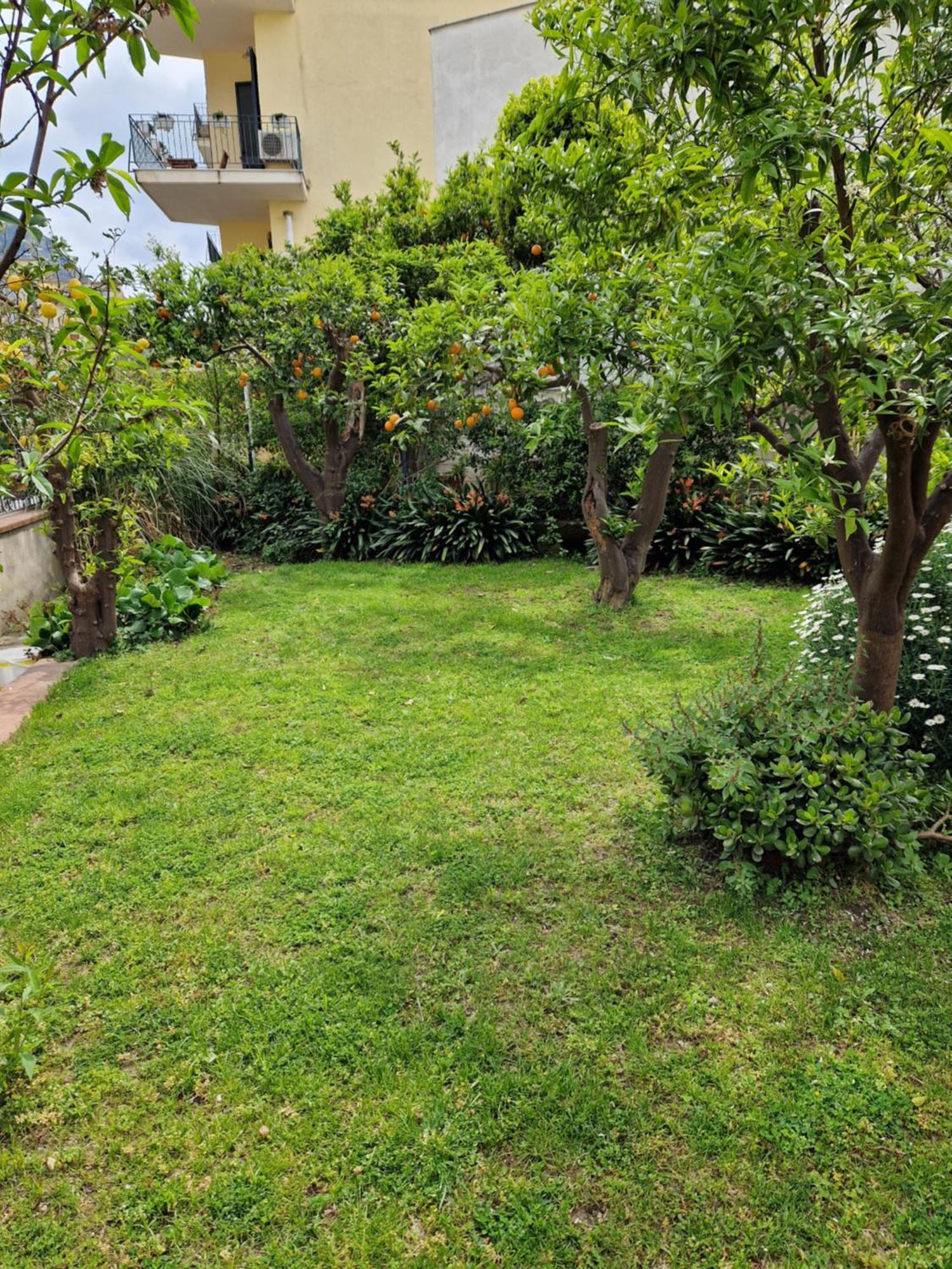 Apartamento Il Giardino Dei Gigli Meta Exterior foto